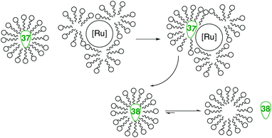 RCM mechanism in aqueous micellar medium.98