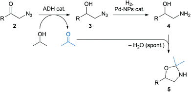 Rationalisation of the formation of 2,2-dimethyloxazolidines 5 in the ADH/Pd-NP one-pot sequence.