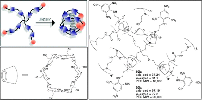 (top left) Conceptual diagram showing formation of bPRTx+:siRNA complex; (bottom left) structure of α-CD; (right) general structure of bPRTx+.