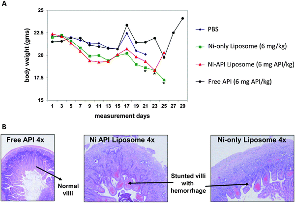 
          In vivo analysis reveals toxicity from Nickel, a non-API component of the formulation. In vivo analysis of the nanoformulation using an LS174T xenograft in seven week old athymic nu/nu female mice shows significant body weight loss for the Ni-only and Ni-API liposomes (A) and chronic necrotizing inflammation in the duodenum (B). Both analyses show the Ni-containing fractions are more toxic than the free API. *Significantly different from control p ≤ 0.05 (Dunnett test).