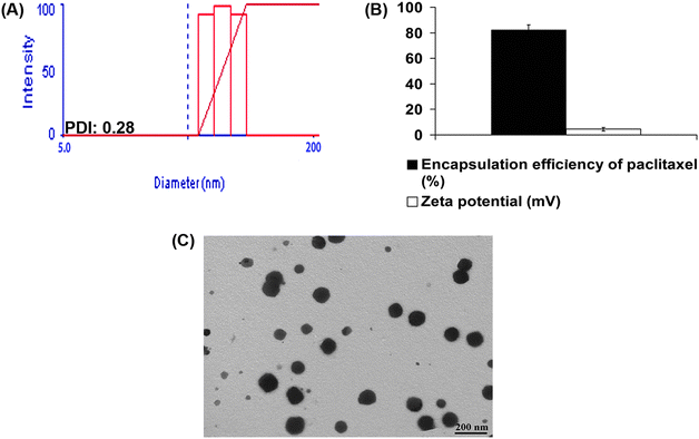 Physiochemical characterization of LN-PTX. (A) Size distribution of LN-PTX obtained using dynamic light scattering (DLS) shows unimodal characteristics. (B) Encapsulation efficiency of paclitaxel in LN-PTX and their zeta potential. (C) Transmission electron microscopy (TEM) image of LN-PTX. Scale bar: 200 nm.
