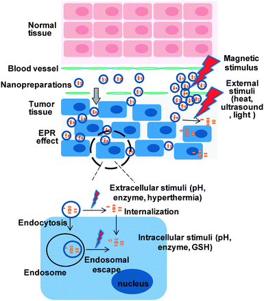 Stimulus-responsive delivery strategies for tumor targeting.