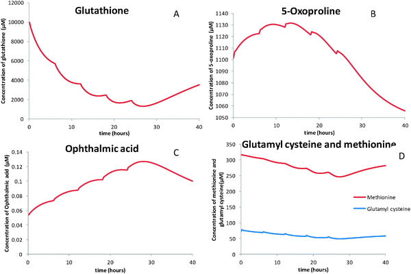 Multiscale modelling approach combining a kinetic model of glutathione  metabolism with PBPK models of paracetamol and the potential glutathione-deplet  ... - Integrative Biology (RSC Publishing) DOI:10.1039/C3IB20245C