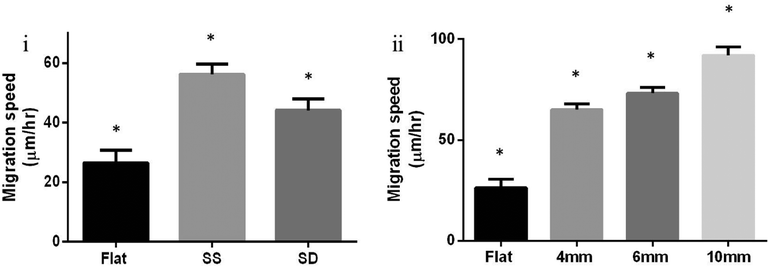 (i) DBTRG-05MG migration on flat (N = 14), single suspended (SS, parallel, N = 56), and double suspended (SD, orthogonal, N = 62) nanofibers ±SE of length 6 mm. A statistical difference was observed between migration on flat, SS, and SD nanofibers (Student's t-test, p = 0.0004 for SS-flat, p = 0.0294 for SD-flat, and p = 0.0171 for SS-SD), (ii) cell migration of single DBTRG-05MG cells on single suspended (SS, parallel) fibers ±SE. Cells migrated significantly faster on fibers of lengths 10 mm (N = 60), 6 mm (N = 101) and 4 mm (N = 120) compared to flat (N = 14). Statistically significant differences were observed between all lengths (Student's t-test, p < 0.0001 for 10 mm-flat, 10–4 mm, 6 mm-flat, 4 mm-flat, p = 0.0001 for 10–6 mm, and p = 0.0439 for 6–4 mm). The average structural stiffness within 750 μm on either side from the center of the 4, 6, and 10 mm nanofibers was experimentally determined to be 3.4, 1.5, and 0.75 mN m−1 respectively. * shows statistical significance.