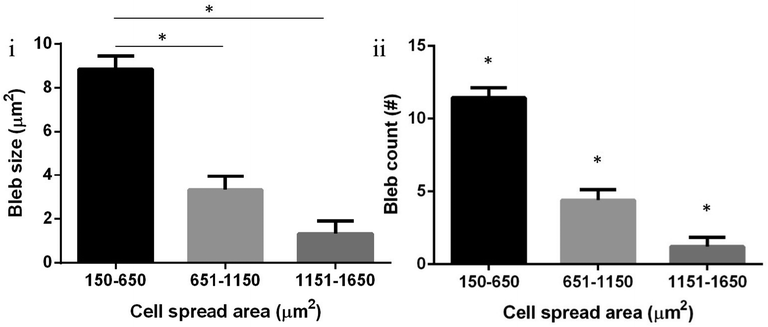 Increasing cell spread area inversely influenced both bleb occurrence and size in single DBTRG-05MG cells. (i) Bleb size for cells with spread area 150–650 μm2 (N = 109) was significantly higher than those for areas 651–1150 μm2 (N = 80), and 1151–1650 μm2 (N = 36) (Student's t-test, both p < 0.01). Bleb size for a cell spread area of 651–1150 μm2 was almost significantly higher than those for areas 1151–1650 μm2 (Student's t-test, p = 0.05). (ii) Similarly, bleb count for cell spread area 150–650 μm2 was significantly higher those for areas 651–1150 μm2 and 651–1150 μm2 (Student's t-test, p < 0.01 for 150–650 μm2 to 651–1150 μm2 and 150–650 μm2 to 1151–1650 μm2, p = 0.02 for 651–1150 μm2 to 1151–1650 μm2). * Shows statistical significance.