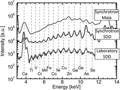 Spectra of NIST SRM 611 (Trace Elements in Glass) obtained with the SR- and X-ray tube based MA-XRF scanners equipped with polycapillary. Only the Kα lines of the elements present are indicated. The seemingly enhanced As signal in the case of the synchrotron SDD scanner is due to a blind contribution from the shielding of the scanner.