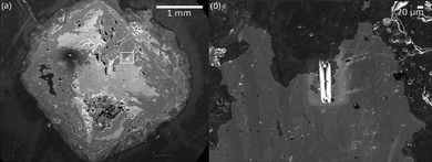 (a) SEM microphotograph of the transverse section of the nail. The rectangle shows the location of the FIB milling zone. (b) SEM microphotograph of the metal–oxide interface where the FIB section was taken.