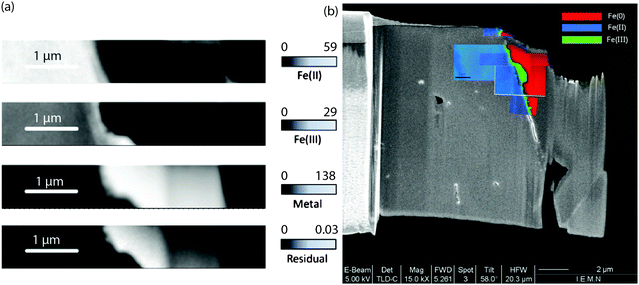 (a) Component maps of the Fe(iii), Fe(ii) and Fe(0) species derived by fitting the Fe 2p image sequences with the siderite, maghemite and metal reference spectra using singular value decomposition (SVD). The gray scales for the Fe(ii), Fe(iii) and Fe(0) component maps indicate the equivalent thickness (nm), while for the residual map optical density. (b) Overlay of the color-coded composite map of the Fe(0), Fe(ii) and Fe(iii) component maps for the image sequences from different regions of the thin film on the SEM microphotograph.