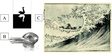 The two phases in scientific revolutions. The paradigm shift to represent occurrence of new paradigms in science with (a) The Black Swan concept of Nicholas Taleb2 and (b) the duck-rabbit optical illusion of Thomas Kuhn.3 The rapid progress that follows a paradigm shift is illustrated with (c) the Big Wave as conceived by Katsushika Hokusai.