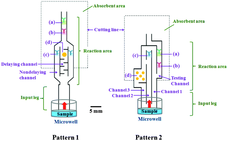 Schematic illustration of the automated paper-based device with 2 different designs for the sandwich ELISA. The prepared substances were included on the devices in (a) the control zone, which contained the immobilized Ab that picks up free (Ag unbound) enzyme-linked detection Ab to confirm that the test has operated correctly; (b) the test zone, which contained the immobilized Abs specific to the target Ag (forming a sandwich ELISA) and showed a colored band for positive test samples; (c) enzyme-linked detection antibody (the second antibody) that was allowed to bind to the antigen; and (d) substrate mixture that reacted with the enzyme label to generate the insoluble colored product. The outer shape of the device was cut from an NC membrane.