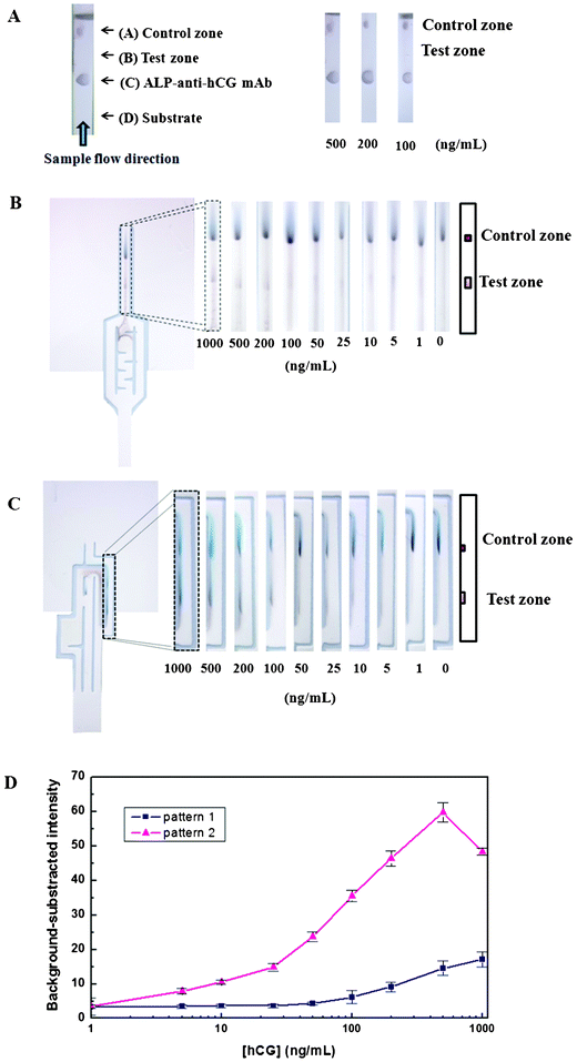 (A) Images of the hCG ELISA results on the test strip using 500, 200 and 100 ng mL−1 hCG without a delaying pattern. Images of the hCG ELISA results on the automated paper-based device made with pattern 1 (B) and pattern 2 (C). (D) The calibration curve of hCG from 1–1000 ng mL−1 in substrate buffer solution using patterns 1 and 2. The data are derived from 3 replicates.