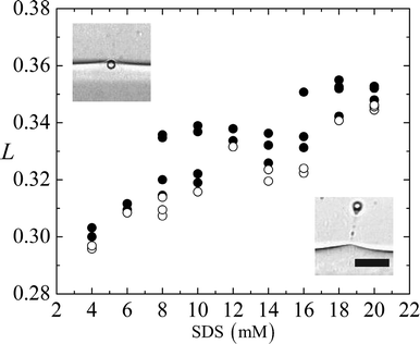 The interface-to-magnet distance L plotted against the SDS concentration in the aqueous phase. Solid circles (•) represent experiments where the beads experience lower magnetic force and cannot overcome the interfacial tension between the two liquid phases. Empty circles (○) represent beads that break through the interface. Scale bar 20 μm.