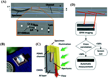 (A) A schematic diagram of OFM. The apertures (white circles) are fabricated directly on top of the optoelectronic sensor and incorporated in an optofluidic channel (blue lines). (B) A photograph of the OFM. (C) A schematic diagram that shows that by tilting the microscope, gravity can provide the flow of the sample. (D) Block diagram of OFM computational principles. Reprinted from ref. 92 with permission from National Academy of Sciences, USA.