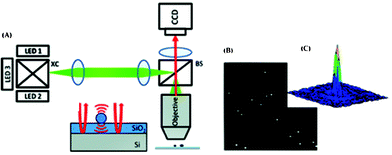 (A) Schematic of the interferometric reflectance imaging (IRIS).51 XC: X-cube used to combine the beams of the different LEDs. BS: beam splitter. (B) Interferometric intensity image of 150 nm diameter beads at a wavelength of 635 nm. (C) Response of a single 150 nm particle shown in (B). Reprinted from ref. 51 with permission from ACS publishing.