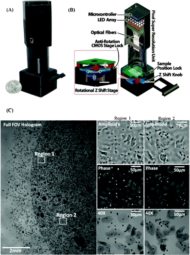 A photograph (A) and a schematic diagram (B) of the portable multi-height microscope are shown. This microscope images dense samples by recording several intensity measurements with different sample to sensor distances. (C) Imaging results are obtained from the microscope shown in (A) and (B). A full FOV (∼30 mm2) hologram of a Pap smear sample is shown in the left panel. The right panel shows zoomed reconstructed amplitude and phase images of regions one and two and microscope comparison images (60×, 0.65 NA). Reprinted from ref. 64 with permission from RSC publishing.