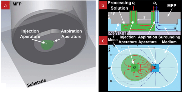 Schematics of the microfluidic probe. (a) 3D representation of the MFP and underlying substrate. The injected solution is shown in green color. The immersion medium is not shown. (b) Cross-sectional view and (c) bottom view of the MFP illustrating the Hele–Shaw configuration and showing the hydrodynamic flow confinement of the processing solution (shown in green color) achieved by the push-pull configuration. G is the gap between the MFP surface and the bottom substrate. QI and QA are the injection and aspiration flow rates, respectively. L and W are the length and the width of the tear shape of the confined injected liquid, respectively. Schematics are not to scale.