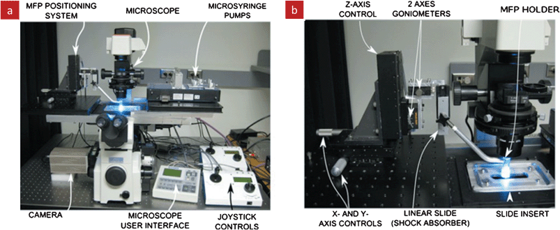 Automated MFP station for positioning the MFP, flow control and live imaging. (a) The various components of the station are built around an inverted microscope to permit live imaging during experiments. (b) A close-up view of the MFP positioning system that provides precise x-, y-, and z-positioning of the MFP and allows adjusting the parallelism with the bottom substrate. An environmental chamber completes the setup but is not shown. Reprinted with permission,18 Copyright 2010, American Institute of Physics.