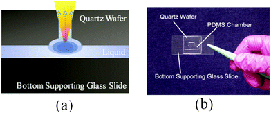 (a) Quartz through-pore fabrication by “sandwiched” drilling method. (b) Fabrication setup, with UV-absorbing liquid confined in a PDMS chamber below the quartz wafer.