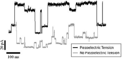 Current traces from Alamethicin ion channels embedded in a planar lipid bilayer suspended over a piezoelectric quartz through-pore. Traces are shown with (black) and without (grey) piezoelectric deformation of the pore.