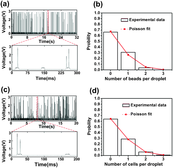 The fluorescence signal contains information on the number of encapsulated particles per droplet. The fluorescence intensity data over time are shown for droplets with encapsulated (a) fluorescent beads and (c) fluorescently stained HeLa cells. The flow rates were set at 0.15 and 3.6 μl min−1 for the aqueous and oil phase, respectively. Using the MATLAB program, we extracted the particle number per droplet from these fluorescence intensity data. The probability distribution in terms of the particle number per droplet obtained from these experimental data for (b) fluorescent beads and (d) fluorescently stained HeLa cells (by analyzing droplet populations >2000) fits the Poisson distribution (delineated in red line). Poisson distribution is defined by P(k) = λke−λ/k!, where k is the number of particle per droplet (0–3) and λ is the average number of particles per droplet (0.39 for beads, 0.44 for cells).