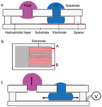 
            a, Side view of the device structure. An LC droplet filled in the right hole partially contacts with the bottom substrate. A fluid droplet is floating in the left hole. The two droplets are separated by a certain distance in order to avoid crosstalk. The cell gap is controlled by spacers and the chamber is tightly sealed. b, Layout of the bottom substrate. The inner surface of the bottom substrate is coated with interdigitated indium tin oxide (ITO) electrodes (marked as red), on the top of which is a hydrophobic layer (marked as hatched). c, When an additional volume of LC is pulled into the chamber by the generated dielectric force, the left fluid droplet shifts upward. The hole size, cell gap, and width of the ITO strip are not drawn to scale.