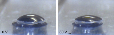 The shape change of an LC droplet dome at V = 0 (left) and V = 80 Vrms (right). The diameter of the hole is 2 mm. The LC droplet is doped with 0.2 wt% black dye and the rest space of the chamber is filled with air. A video of dynamically shifting the droplet dome is also provided in the ESI.