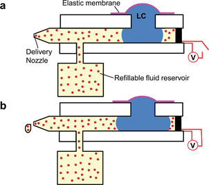System for continuous liquid delivery. (a) LC droplet is in contracted state and (b) LC droplet is in stretched state and liquid is dispensed.