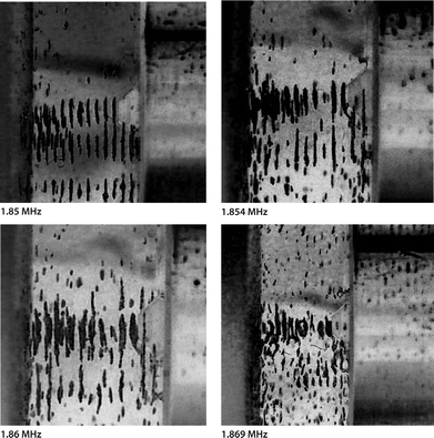 Images of polystyrene resin beads (100 μm) suspended in methanol and agglomerated in the pressure nodal planes of an ultrasonic standing wave between a transducer (right) and the head of the ATR fibre probe (left). The acoustic path length was adjusted to 3.18 mm. Each image was taken at a distinct ultrasonic field frequency stated below the respective image. Due to an increase of frequency from 1.850 MHz to 1.869 MHz, the suspended beads continuously approached the ATR surface. The figure is taken from ref. 50.