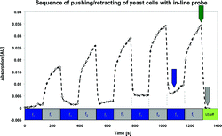 Sequence of repeated applications of the pushing and the retracting frequencies recorded with an in-line probe. The ATR's population/depopulation is indicated by the temporal development of an absorption band (carbohydrates @ 1047 cm−1) of the yeast cells. The figure is taken from ref. 51.