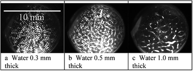 Device G in Table 1. Yeast cells (at 107 ml−1) in a thin layer of water between a vibrating (1 MHz) microscope slide and a 50 μm thick polystyrene film (white areas are cell clumps). The water layer thickness was adjusted with a micrometer stage to move the film. The acoustic wavelength (λ) in water at 1 MHz was 0.75 mm. a) Water thickness < λ/4, clumps in contact with the surface. b) Water thickness > λ/4, some clumps in contact with the surface and some free in the suspension. c) Water thickness ≫ λ/4, most clumps free in the suspension. The figure is taken from Hawkes et al.52