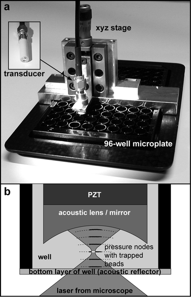 The 96-well microplate platform for ultrasonic enhancement of the bead-based human thyroid stimulating hormone assay developed by Wiklund et al.20 a) The 4 MHz transducer (upper left corner) was submerged into one of the wells of the 96-well plate by a xyz precision translation stage. b) The beads were concentrated into the pressure nodes of the standing wave (dotted lines) formed by reflections in the acoustic lens/mirror (front part of the transducer) and the bottom layer of the well. Each pressure node were then scanned by an inverted confocal microscope. The figure is taken from ref. 20.