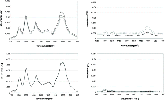 IR Spectra recorded to observe bio-film formation while the ATR was exposed to a yeast suspension. Measurements were taken at 30 (black), 60 (dark grey), 90 (lighter grey) and 120 min (lightest grey). Top left: Result when the basic procedure (cf.Fig. 7a–c) was used. Top right: Measurements representing the bio-film causing a decrease in resolution and sensitivity of the measurements. Bottom left: Result when an ultrasonic standing wave was applied during the rinse (cf.Fig. 7c). Bottom right: Spectra when the ultrasonic standing wave was applied resulting in a significantly reduced bio-film. The figure is adapted from figures in ref. 42.