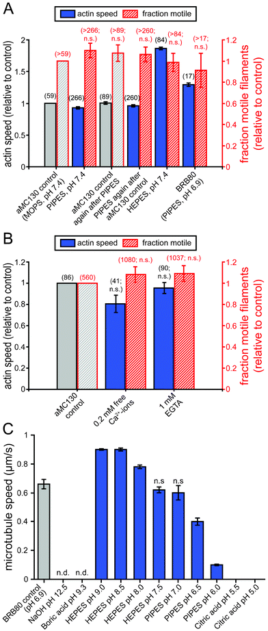 Effects of different buffers, pH and Ca2+-ions on cytoskeletal filaments and molecular motor function. (A) Actin filament speeds and fractions of motile actin filaments in various buffers. All velocity data points differ from the control value(s) (p < 0.05), although the effects were small except for the effect of HEPES. (B) The effect of EGTA and free Ca2+-ions on actomyosin gliding speed and fraction of motile filaments. (C) Microtubule speeds in various buffers at pH 5.0–12.5. (A–C) Speeds are given as mean ± standard error of the mean of 16 randomly selected microtubules (C) or the number of actin filaments given in brackets next to the data points (A, B). Unless marked with n.s. (not significant) or n.d. (not determined because no filaments could be observed) all data points are statistically significantly different (p < 0.05) from the respective controls.
