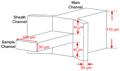 Design and dimensions of 3D flow focusing device.