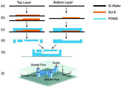 Process flow of 3D flow focusing device. (a) Si wafers as substrates for molds. (b) Forming double-step and single-step SU-8 molds. (c) Pour PDMS onto the SU-8 molds. (d) Remove PDMS from the mold. Inlet and outlet holes were punched in the top layer. (e) Two layers were bonded according to the directions in (d), with the bottom layer attached to a glass slide. (f) A view of the finished device. Coordinates are defined and will be used throughout the paper.