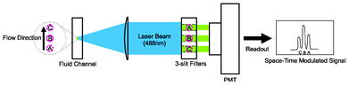 A flow cytometer compatible setup to characterize the effectiveness of flow focusing. A 488 nm laser is focused to the center of microfluidic channel by a 50× objective lens and forms a magnified image in front of the detector. The system transforms the fluorescent signal of a particle to a plane with a 3-slit spatial filter to produce a time-domain signal with 3 distinctive peaks corresponding the particle positions A, B, C. The particle velocity can be obtained by dividing the separation between AB (or BC) with the time interval between the peaks.