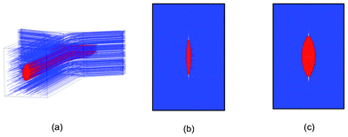 Fluidic dynamic simulations of 3D flow focusing device showing the sample flow (red) and sheath flow (blue). (a) The simulated device structure. (b, c) Cross section of the confined flow with the sample/sheath flow ratio of 1/40 μL min−1 and 4/40 μL min−1, respectively.