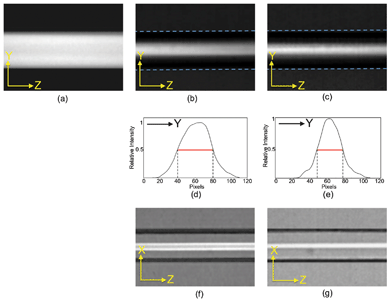 Micrographs of fluorescent intensity distributions. Side view to illustrate y-confinement for (a) 2D-design, (b) 3D-design at 1 : 10 sample/sheath flow ratio, and (c) 3D-deisgn at 1 : 40 sample/sheath flow ratio. (d), (e): Intensity profile for micrographs (b) and (c). Top view to illustrate x-confinement for (f) 3D-deisgn at 1 : 10 sample/sheath flow ratio and (g) 3D-deisgn at 1 : 40 sample/sheath flow ratio.