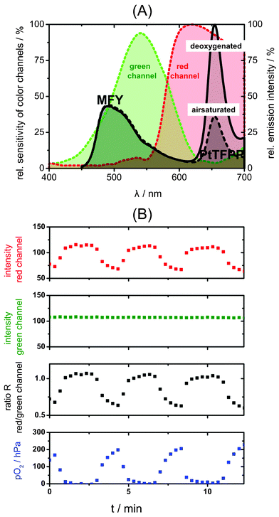 (A) Emission spectra of the two-wavelength ratiometric oxygen sensor under air saturated and deoxygenated conditions and relative sensitivities of the color channels of the color camera; the red channel detects the oxygen sensitive emission of PtTFPP while the green emission of MFY acts as green reference channel. (B) Response curve of a microfluidic chip with integrated sensor film read out by a CCD color camera; from the intensities of red and green images the referenced ratiometric images were calculated, which were then transformed into pO2 images. The curves show data averaged over a region of interest (0.045 mm2) of the channel area.