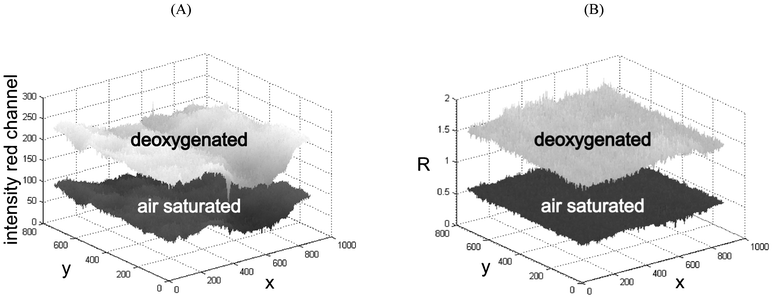 (A) Intensity response (red channel) of the oxygen sensor and (B) ratiometric (referenced) image obtained by division of the red by the green channel.