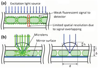Limitations of conventional droplet based microfluidic device (a). Schematic diagram of the microoptics integrated droplet-based microfluidic device (b). The microlens improves the excitation light intensity and fluorescent signal collection. The metallic mirror surface on the channel structure enables the fluorescent signal collection. Due to the localized beam intensity at the spot, spatial resolution is improved.