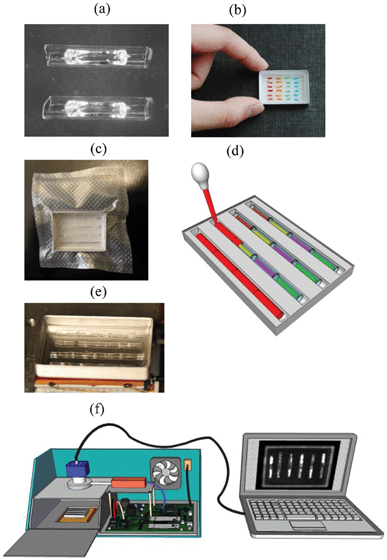 Overview of the presented system: (a) dried gel inside capillary reaction units; (b) a cassette with capillaries arranged in 6 trenches. Capillaries are colored to represent different primer sets; (c) a vacuum packaged cassette, (d) sample delivery with a transfer pipette to each trench of the cassette from one end of the trench. The sample flows smoothly through the entire trench and hydrates gel in the capillaries; (e) a cassette with a 4 trench capillary arrangement in melted wax during thermal cycling; (f) a diagram of a second generation PCR/MCA instrument (GelCycler) (see ESI). This instrument has capabilities similar to the previously described first generation instrumentation17,18 but with much improved temperature regulation and detection of emitted light.