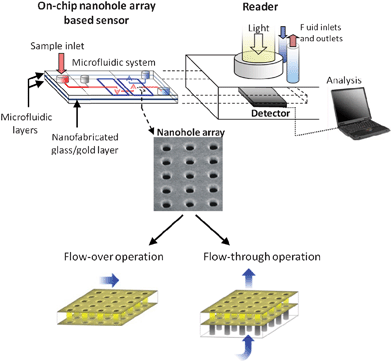 Schematic of the on-chip nanohole array based sensing concept. A nanofabricated gold-on-glass layer is integrated with a microfluidic system. The integrated chip has microfluidic components and optical access from both the top and the bottom. The sensor can be operated by transporting fluid over or through the nanoholes. The platform further includes an external interface comprising a reader unit with a light source, a detector and means for fluidic actuation and recording.