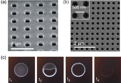Nanohole arrays fabricated by focused ion beam lithography (FIB). (a) SEM image of an array of non-through nanoholes. This nanohole array was fabricated in a 100 nm thick film of gold supported by a glass substrate through a Ti–W adhesion layer. (b) SEM image of an array of through nanoholes. This nanohole array was fabricated through a 100 nm thick film of gold supported by a Si3N4 membrane of 100 nm thickness. (c) Image sequence of the fabrication of a nanohole through an Au-on-Si3N4 membrane. The time interval between the images is ∼0.2 s.