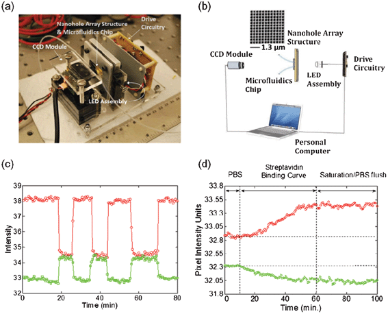 Hand-held on-chip nanohole array based sensing platform with a dual-wavelength light source. (a) Picture of the SPR sensing device indicating the different components; (b) schematic of the sensing device and picture of a nanohole array with a periodicity of 420 nm and hole diameters of 275 nm; (c) proof-of-concept dual-wavelength bulk refractive index sensing. The transmitted light intensity response is opposite for the 2 wavelengths used in the device; (d) real-time monitoring of biotin–streptavidin binding using the hand-held device with dual wavelength light source. The solution containing streptavidin is introduced at 10 min, and saturation is achieved after ∼40 min.58 Adapted with permission from C. Escobedo, S. Vincent, A. I. K. Choudhury, J. Campbell, A. G. Brolo, D. Sinton and R. Gordon, Journal of Micromechanics and Microengineering, 2011, 21, 115001. Copyright 2011 Institute of Physics (IOP).