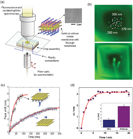 Flow-through nanohole array based sensing. (a) Schematic of the optical and fluidic test setup employed for both fluorescence tests and transmission spectroscopy; (b) fluorescence images of the gold film with nanohole arrays, before (top) and after (bottom) the application of fluid pressure. Arrays were 15 × 15 μm2, with periodicities of 450 nm and hole diameters of 300, 280, 270 nm (as indicated), as well as 260 and 250 nm. (Bottom) Fluorescence image showing a dye buffer solution streaming from the three largest diameter arrays with 70 kPa applied pressure; (c) comparison of response to surface adsorption achieved with flow-over and flow-through formats as indicated inset. Measured peak shift (625 nm peak) is plotted as a function of time during flow through/over of an ethanol/MUA solution. As indicated in the inset, the flow-through sensor is operated with flow from the non-participating silicon nitride side to the active gold surface; (d) response of flow-through nanohole arrays to sequential adsorption (periodicity of 450 nm). The wavelength versus time plot shows the peak-shift in response to the antibody (PAX8) adsorption, with a representative error bar on the last data point. Inset is a bar graph showing the peak shift in response to the initial DSU monolayer and the total peak shift in response to the DSU and the antibody.43 Adapted with permission from F. Eftekhari, C. Escobedo, J. Ferreira, X. Duan, E. M. Girotto, A. G. Brolo, R. Gordon and D. Sinton, Analytical Chemistry, 2009, 81, 4308–4311. Copyright 2009 American Chemical Society.