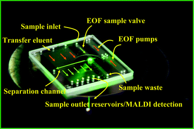 Picture of a 2” × 2” microfluidic LC device interfaced to MALDI-MS detection.