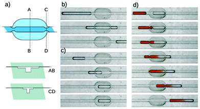 Merging trap. a) Scheme of the trap. b) Droplets longer than length of the trap passes through it without stopping or slowing down. c) Droplets shorter than the length of the trap lock in, while the carrier liquid flows around it via the bypasses. d) When a droplet flows into a filled trap the two droplets merge. If the residual droplet is longer than the trap it completely releases the trap, while the content of the two initial droplets mixes effectively even in straight channels. The width of the straight segments of the channel is 400 μm.