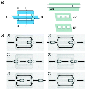 Lock&shift trap. a) Scheme of the trap b) Micrographs (1 through 6) illustrate the locking of a droplet (1), the approach of a subsequent droplet (2), blocking of the inlets to the bypasses by the subsequent drop (3) causing the release of the first drop (4), and approach of the second drop to the locked position (5 and 6). The solid lines (arrows) depict schematically the flow of the continuous liquid. The width of the straight segments of the channel is 400 μm.