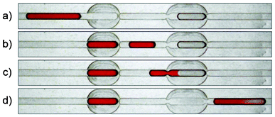 Combination of a metering trap (left) and a merging trap (right), one segment of the DOMINO device. The width of the straight segments of the channel is 400 μm.